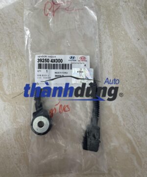CẢM BIẾN KÍCH NỔ KIA BONGO 3