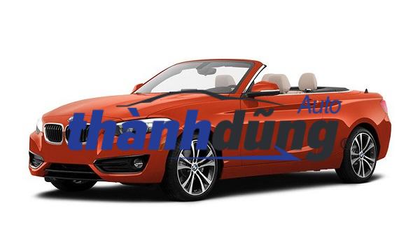 Convertible 2019