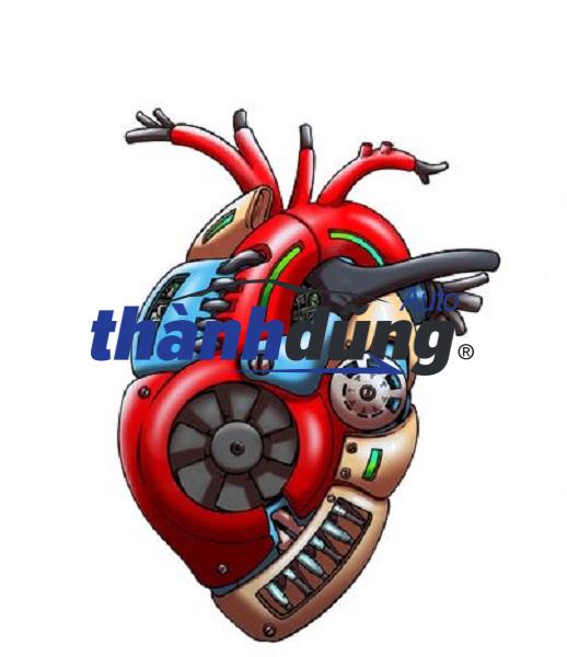ĐẠI LÝ PHÂN PHỐI PHỤ TÙNG Ô TÔ TẠI QUẢNG NGÃI