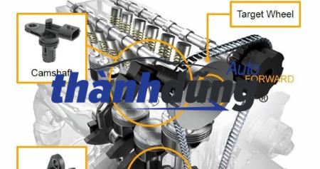 cảm biến trục cam