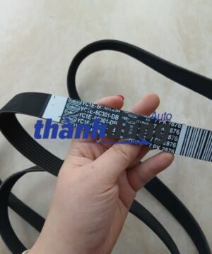 DÂY CUROA TỔNG FORD TRANSIT 7PK2876 | YC1E6C301BB