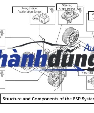 CẢM BIẾN CÂN BẰNG ESP