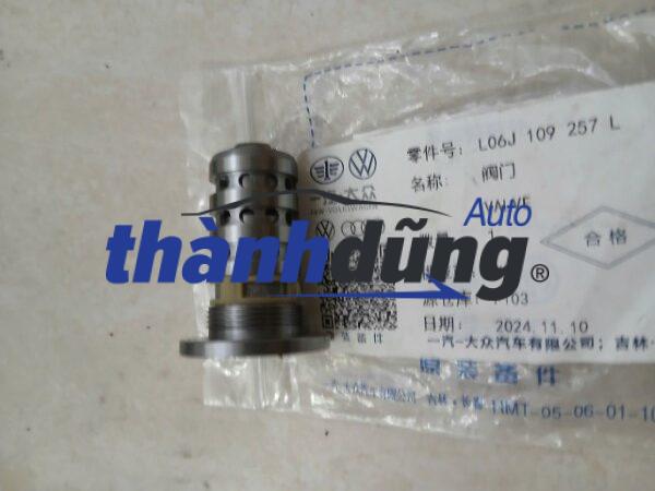 VAN ĐIỀU KHIỂN TRỤC CAM AUDI A4 2013-2021 | 06J109257L